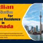 submit an Indian application for permanent residence