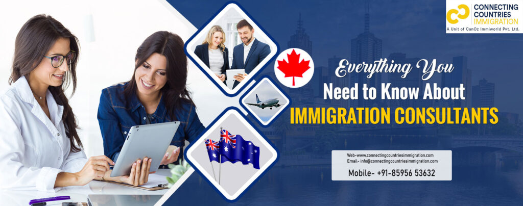 Everything You Need to Know About Immigration Consultations