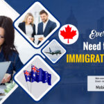 Everything You Need to Know About Immigration Consultations